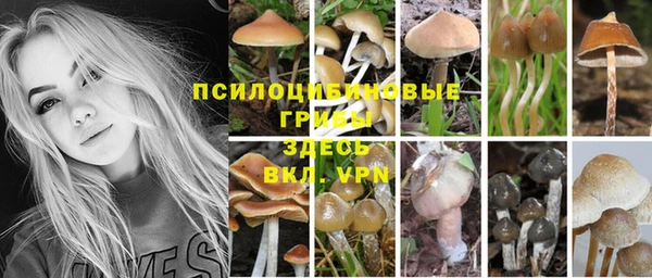 соль курить ск Пересвет