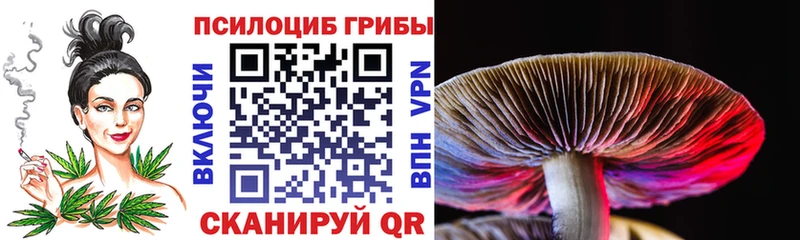 Галлюциногенные грибы MAGIC MUSHROOMS  как найти закладки  ОМГ ОМГ зеркало  Одинцово 