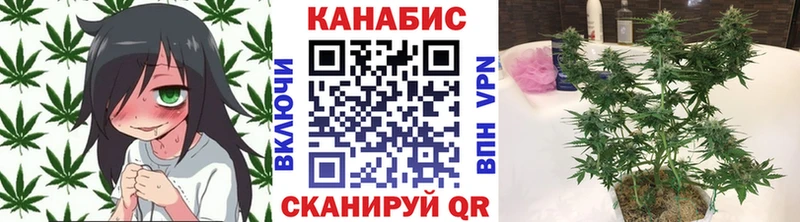 Марихуана THC 21%  купить наркотик  Одинцово 